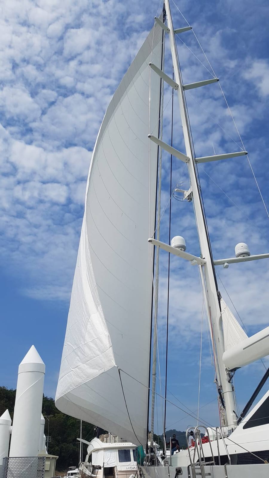 Furling headsail on a cruising yacht