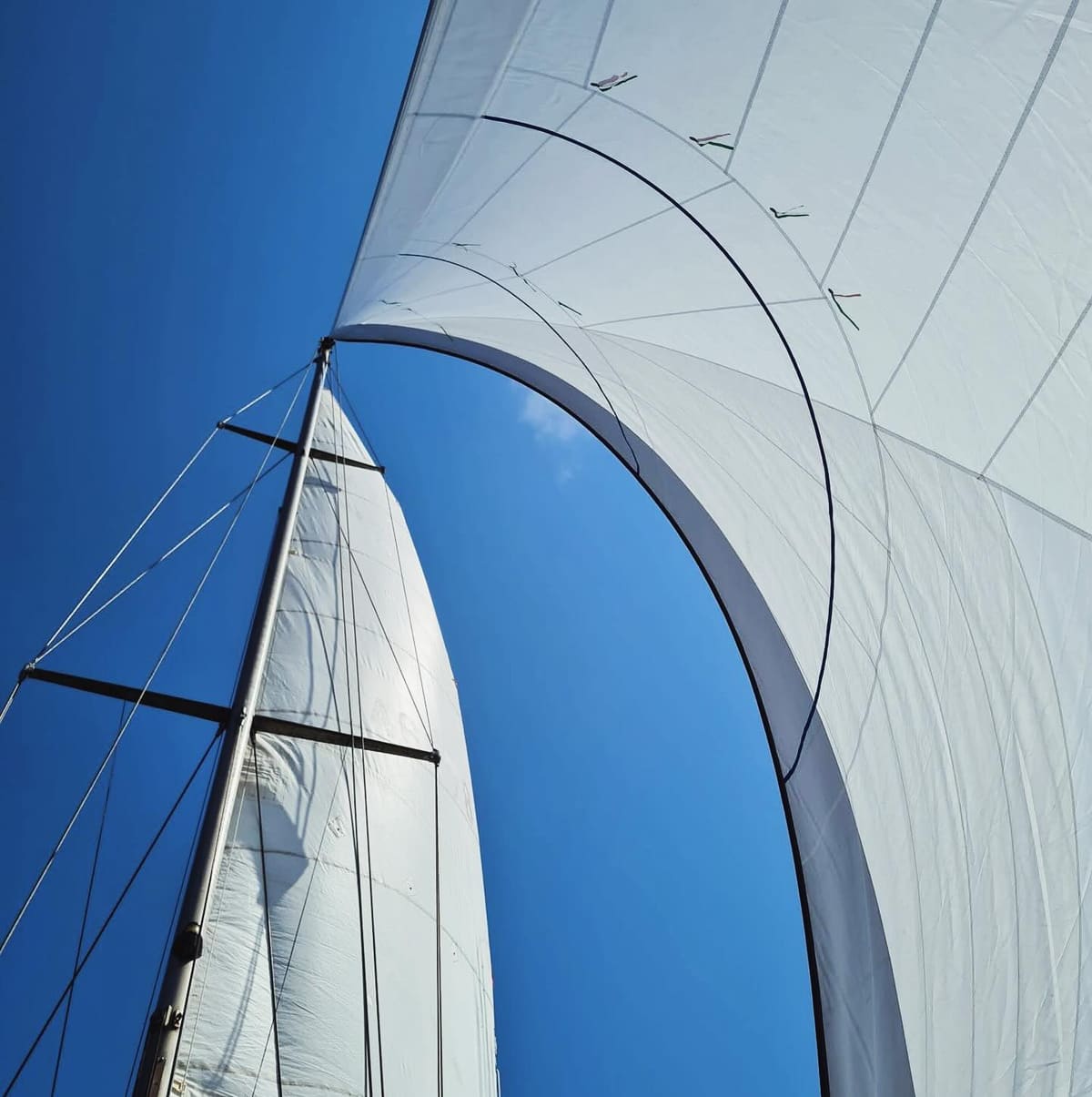 C&C 39 a SEA Sailmakers Radial Cut Furling Genoa