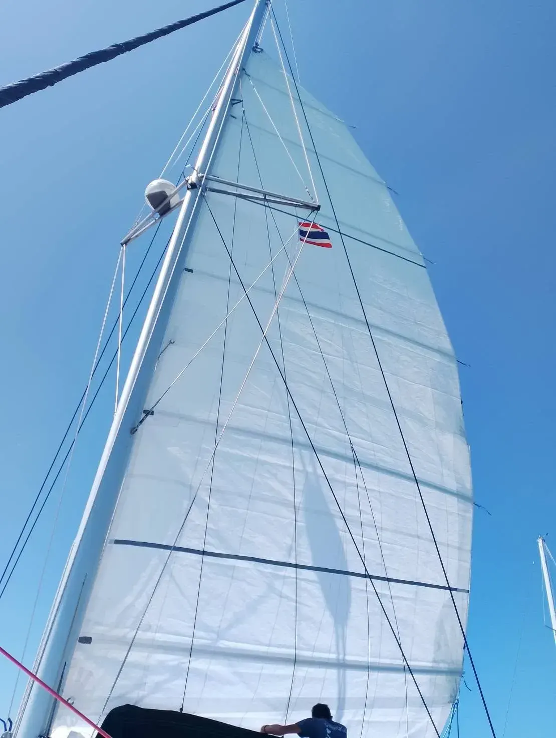 Looking up a hoisted mainsail with a pronounced curved leech against a clear blue sky